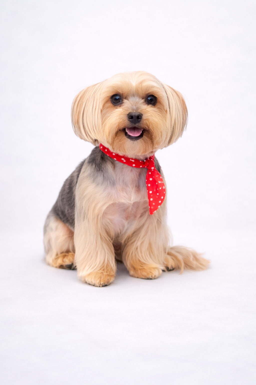 ChatGPT Image Feb 17, 2026, 04_25_21 PM